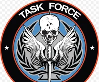 Task Force 