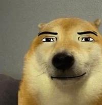 Doge vagabundo