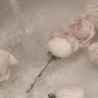 001 - OBSESSIVE info