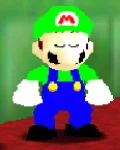 SuperLuigi231