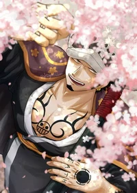 Law
