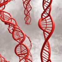 Monster Genes Awaken