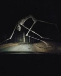 Papa 
