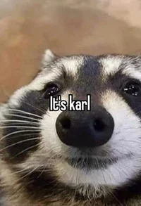 Split Bive Poob Pest