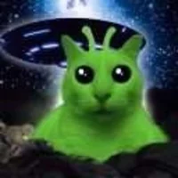 Anomaly