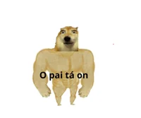 Chad Doge