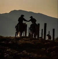 BL - Cowboy