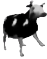 Polish Cow