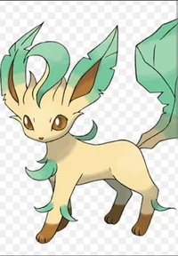 Solar the Leafeon 