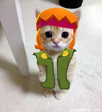 Baster Brawl stars 