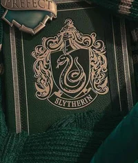 Slytherin group