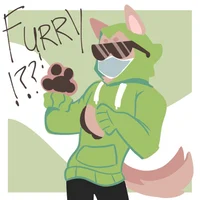 Furry Kwite