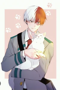Shoto Todoroki owner