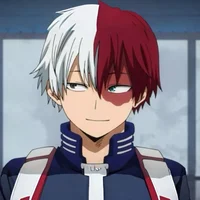 Shoto Todoroki