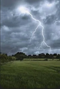 Naturaldisaster_game