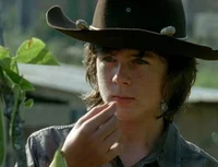 Carl grimes