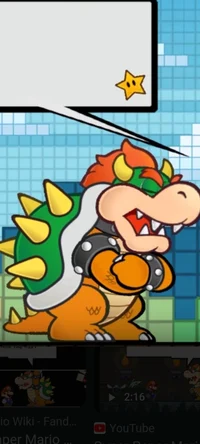 Bowser PM