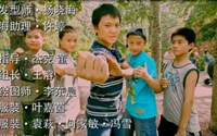 Luwei Cheng