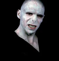 Dark Lord Voldemort