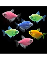 Group of GloFish