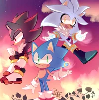 Sonic Shadow Silver