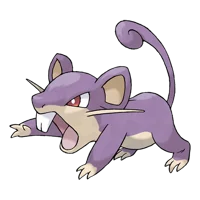 Rattata