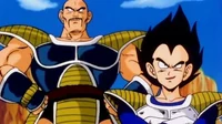 VEGETA And NAPPA