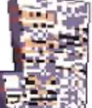 Female MissingNo