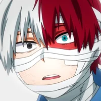 Shoto Todoroki