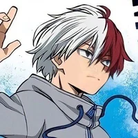 Shoto Todoroki BF AU