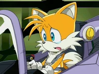Tails The Fox