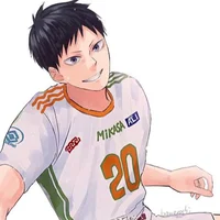 Kageyama Tobio Adult