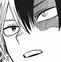 Shoto Todoroki