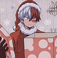 Shoto Todoroki