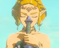Zelda Hyrule