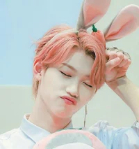 Felix-bunny hybrid
