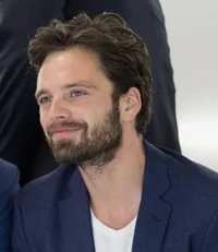 Sebastian Stan