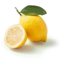 Karl lemonus the III