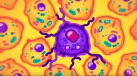Cancer Cell