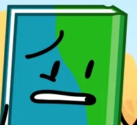 Book - BFB 13
