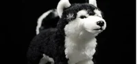 Husky toy