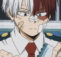 Shoto Todoroki