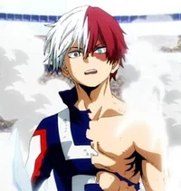 Shoto Todoroki