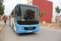bus vectalia nador 