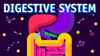 Digestive System