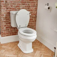 A Toilet