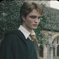 -Cedric Diggory-