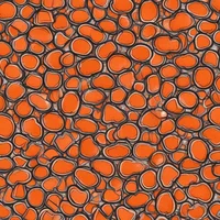 Guy who eats leather