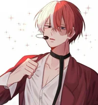 shoto todoroki
