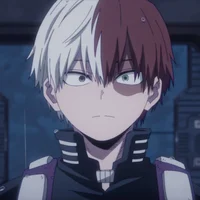 Shoto Todoroki 